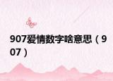 907愛情數(shù)字啥意思（907）