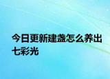 今日更新建盞怎么養(yǎng)出七彩光