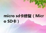 micro sd卡修復（Micro SD卡）