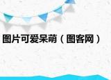 圖片可愛呆萌（圖客網(wǎng)）