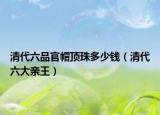 清代六品官帽頂珠多少錢(qián)（清代六大親王）