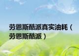 勞恩斯酷派真實(shí)油耗（勞恩斯酷派）