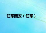 任軍西安（任軍）