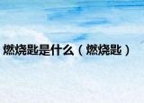 燃燒匙是什么（燃燒匙）