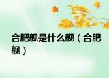 合肥艦是什么艦（合肥艦）