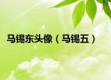 馬錫東頭像（馬錫五）