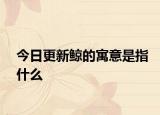 今日更新鯨的寓意是指什么