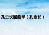 孔垂長(zhǎng)回曲阜（孔垂長(zhǎng)）