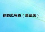 葛曉鳳寫真（葛曉鳳）