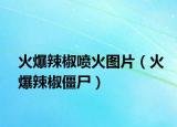 火爆辣椒噴火圖片（火爆辣椒僵尸）