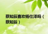 蔡知辰喜歡楊仕澤嗎（蔡知辰）