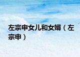 左宗申女兒和女婿（左宗申）