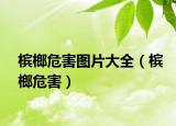 檳榔危害圖片大全（檳榔危害）
