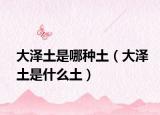 大澤土是哪種土（大澤土是什么土）