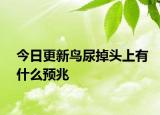 今日更新鳥尿掉頭上有什么預(yù)兆
