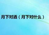月下對(duì)酒（月下對(duì)什么）