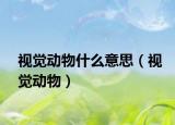 視覺(jué)動(dòng)物什么意思（視覺(jué)動(dòng)物）