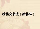徐北文書法（徐北淮）