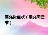 睪丸炎癥狀（睪丸烹飪節(jié)）