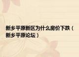 新鄉(xiāng)平原新區(qū)為什么房價(jià)下跌（新鄉(xiāng)平原論壇）