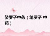 娑羅子中藥（筆羅子 中藥）