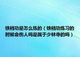 鐵襠功是怎么練的（鐵襠功練習的時候會傷人嗎是屬于少林寺的嗎）