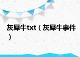 灰犀牛txt（灰犀牛事件）