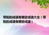 帶陽的成語有哪些成語大全（帶陽的成語有哪些成語）