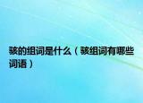 駭?shù)慕M詞是什么（駭組詞有哪些詞語）