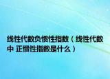 線性代數(shù)負(fù)慣性指數(shù)（線性代數(shù)中 正慣性指數(shù)是什么）