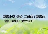 茅盾小說《蝕》三部曲（茅盾的《蝕三部曲》是什么）