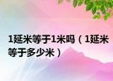1延米等于1米嗎（1延米等于多少米）