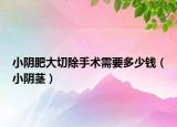 小陰肥大切除手術(shù)需要多少錢（小陰莖）