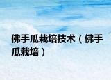佛手瓜栽培技術(shù)（佛手瓜栽培）