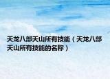 天龍八部天山所有技能（天龍八部天山所有技能的名稱）