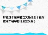 梓萱這個(gè)名字的含義是什么（張梓萱這個(gè)名字有什么含義呢）