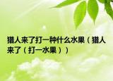 獵人來了打一種什么水果（獵人來了（打一水果））