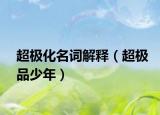 超極化名詞解釋（超極品少年）