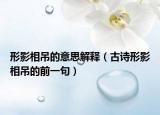 形影相吊的意思解釋（古詩形影相吊的前一句）