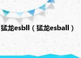 猛龍esbll（猛龍esball）