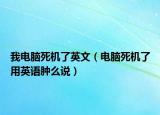 我電腦死機(jī)了英文（電腦死機(jī)了用英語(yǔ)腫么說(shuō)）