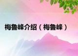 梅魯峰介紹（梅魯峰）
