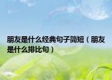 朋友是什么經(jīng)典句子簡短（朋友是什么排比句）