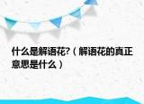 什么是解語花?（解語花的真正意思是什么）