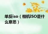 單反iso（相機lSO是什么意思）