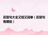 反復句大全又短又簡單（反復句有哪些）