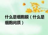什么是細(xì)胞膜（什么是細(xì)胞間質(zhì)）