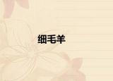 細毛羊
