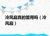 冷風(fēng)扇真的管用嗎（冷風(fēng)扇）