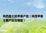 陜西最大的蘋果產(chǎn)地（陜西蘋果主要產(chǎn)區(qū)在哪里）